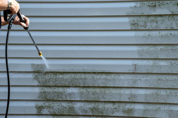 Best Siding Painting and Refinishing  in El Paso De Robles, CA